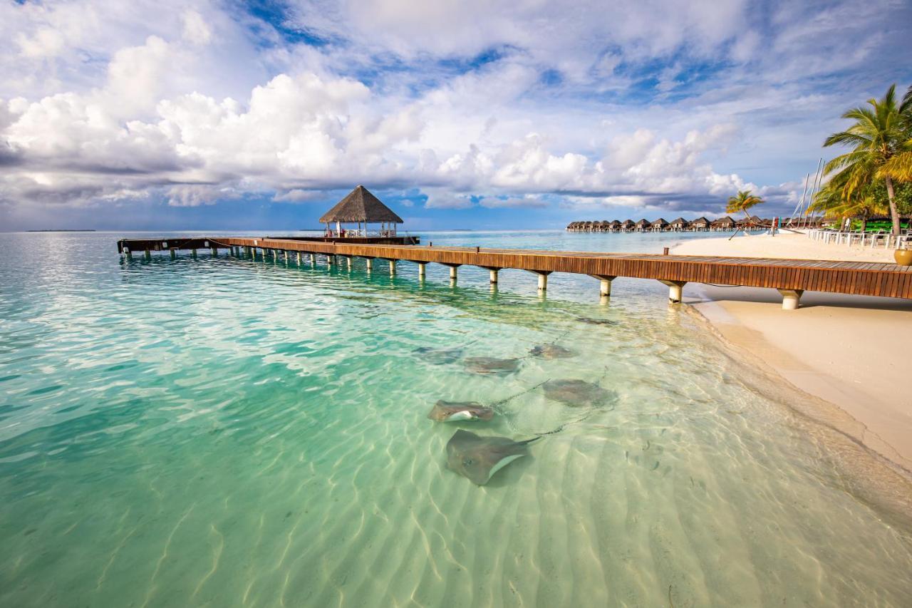 Отель Sun Siyam Vilu Reef Меедхоо Экстерьер фото